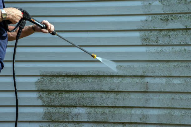 Best Best Pressure Washing Companies  in Basye, VA