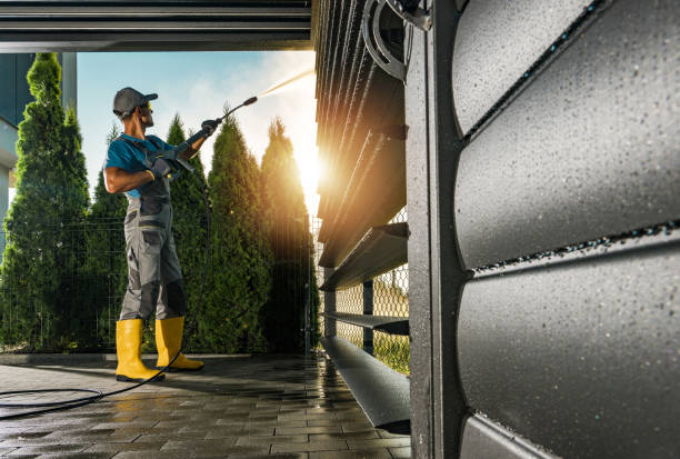 Best Roof Pressure Washing  in Basye, VA