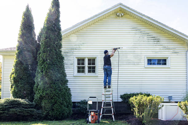 Best Pressure Washing Cost  in Basye, VA