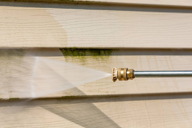 Deck Cleaning Services in Basye, VA