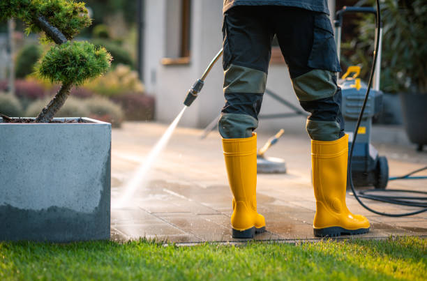 Best Exterior Home Cleaning  in Basye, VA